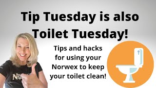 Tip Tuesday  Toilet Tuesday with your Norwex! Toilet Cleaning Hacks!