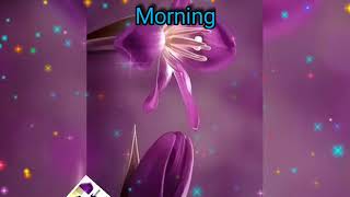 Purple Flower Good Morning Whastsapp Status screenshot 5