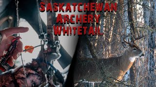 Saskatchewan Archery Whitetail - Two Heavy Old Bush Bucks with Bows