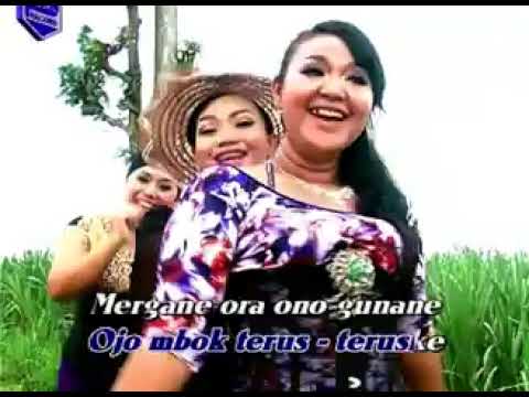 Tayub Setyo Pradonggo Tulungagung Kembang Probolinggo Manuk Pelatuk Full Album Vol 1 