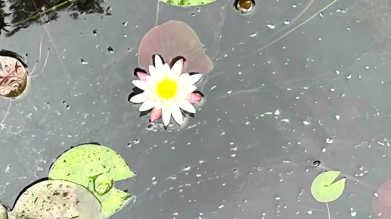 Visiting Cheraw State Park in South Carolina