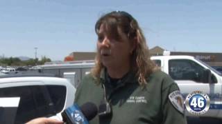 06/21/2016 Dog Left in Vehicle at Walmart