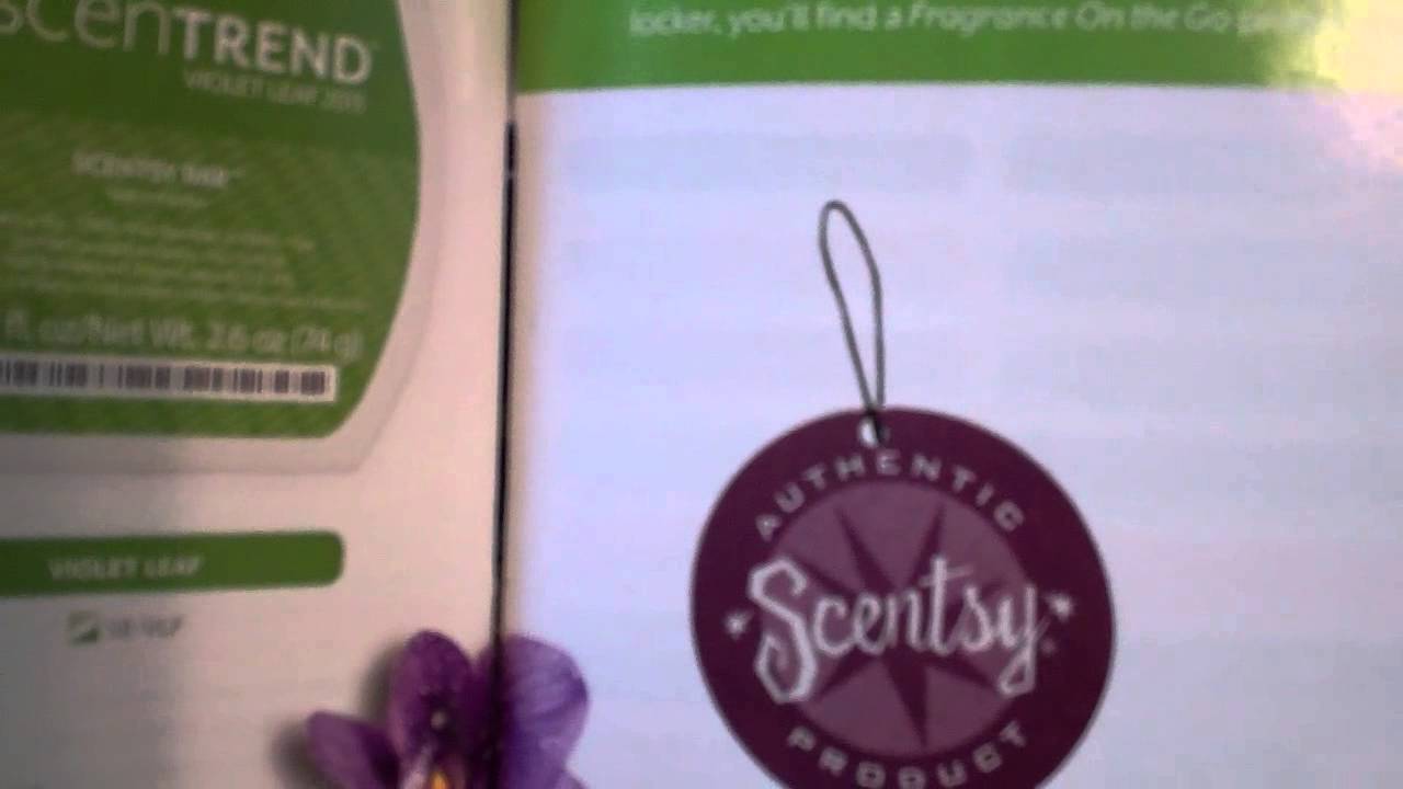 Scentsy Online Store |"Shop Scentsy" |"Scented Candles"|"Kara" Egan | Top Consultant | Texas