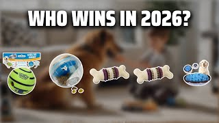 The Top 5 Best Dog Activity Toys in 2026 - Must Watch Before Buying!