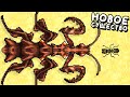 СТРАХ ВСЕХ МУРАВЬЕВ! ▶ Pocket Ants: Симулятор Колонии Прохождение | Обзор