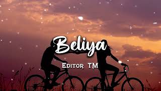 Beliya Ve (Slowed + Reverb) - Gurnam Bhullar | Editor TM