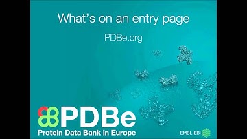 PDBe webinar: Searching for biological macromolecular structures