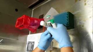 Anesthetizing flies with Fly Nap