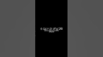 إن الأبرار يشربون من كأس كان مزاجها كافورا | كروما شاشه سوداء | سورة الإنسان | الشيخ عثمان الحداد