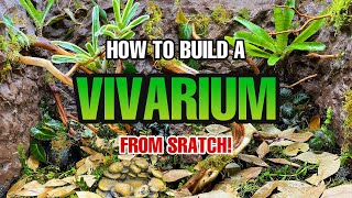 How to build a Tropical Vivarium | Drylock Background Tutorial