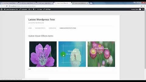 Vubon Hover Effects Wordpress Plugin Video Tutorial - (How to Use)