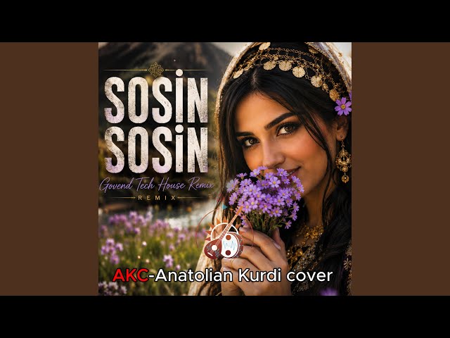 Sosin Sosin