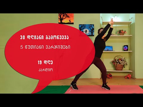 5 წუთიანი ვარჯიშები/19 დღე/30 დღიანი გამოწვევა/კარდიო