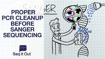 Proper PCR Cleanup before Sanger Sequencing - Seq It Out #12