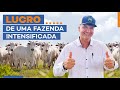 LUCRO DE UMA FAZENDA INTENSIFICADA.