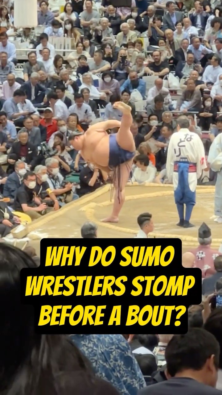 【12/7以降の発送】SUMO STOMP SUMO PRE VER.2 Guitar Shop Barchie's / SUMO STOMP SUMO TRON ver.2
