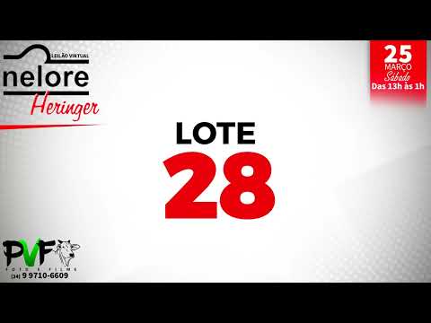 LOTE 28