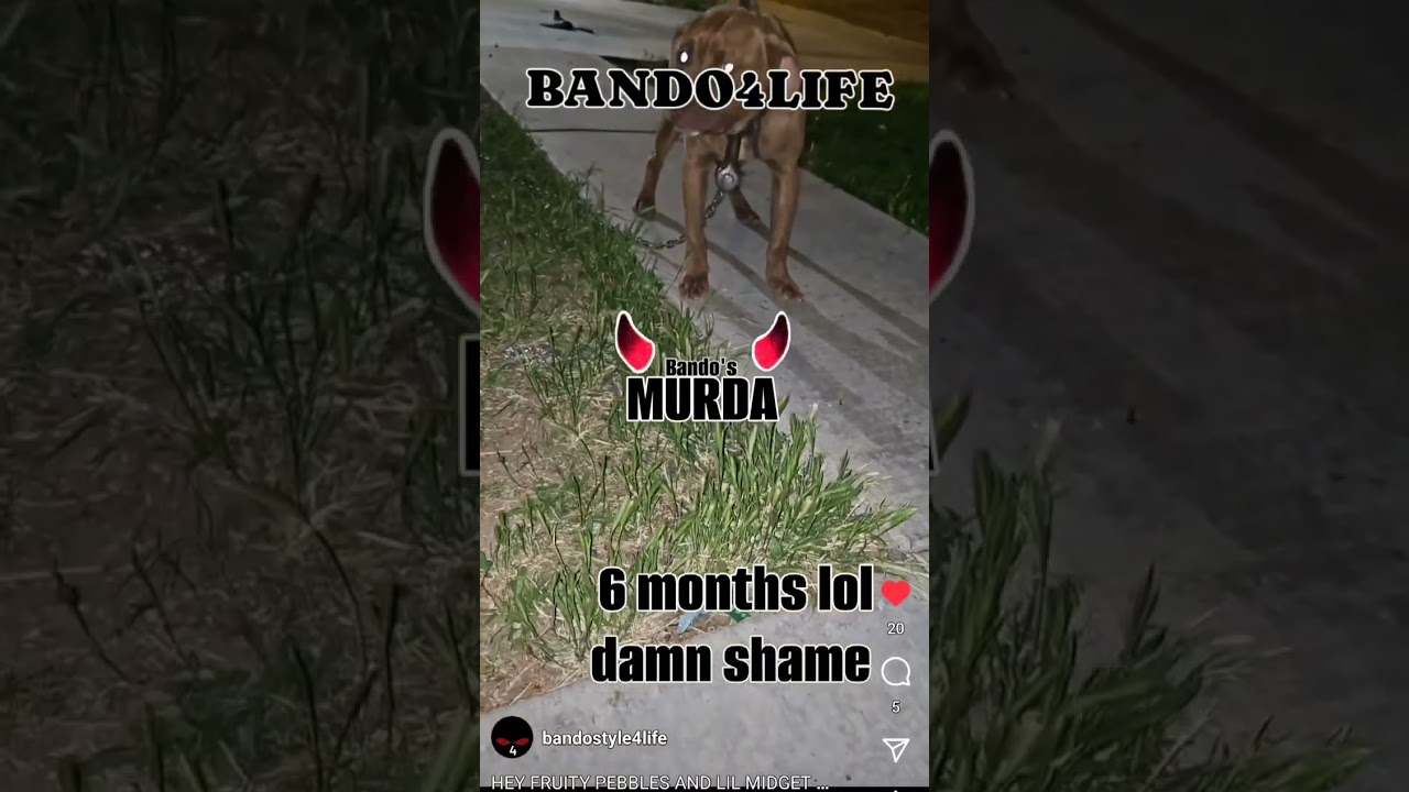 #bando4life