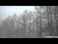 Snowstorm 60 min / Nature Sounds Winter