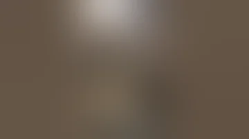 فضيحة الجيش الاسرائيلى 