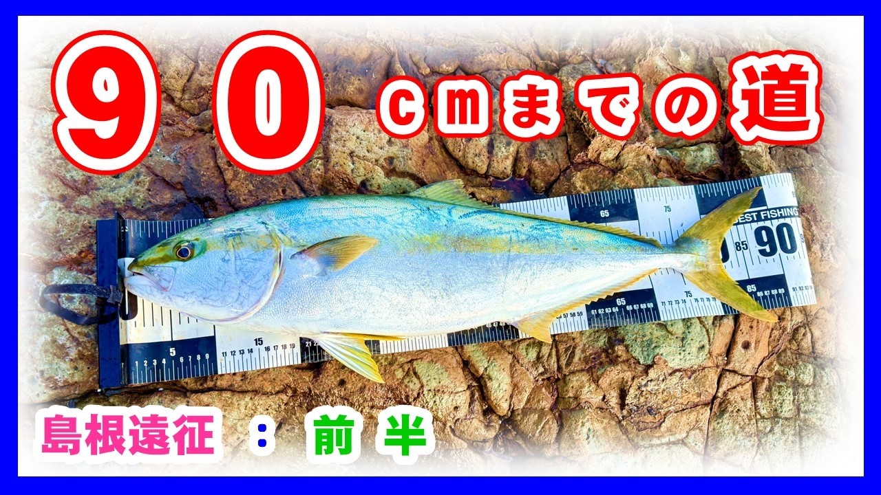 前半[90cmロックショアヒラマサまでの道]in島根2025☆青物ハンターへの