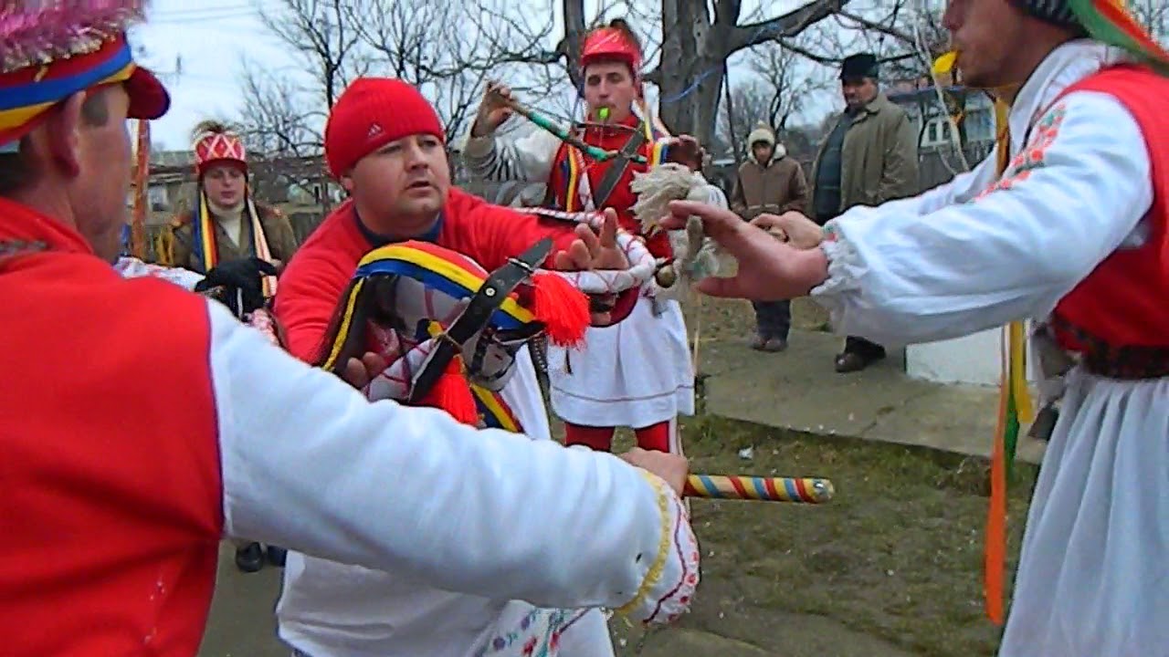 Caiuti Varfu Campului 2013