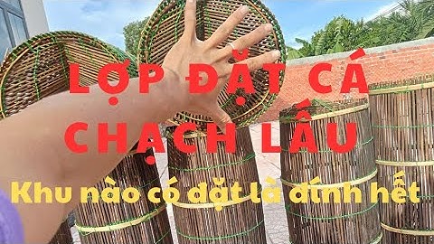 Lợp đặt cá chạch lấu - Chia sẻ toàn bộ về lợp cá chạch ll Zalo 0364117809