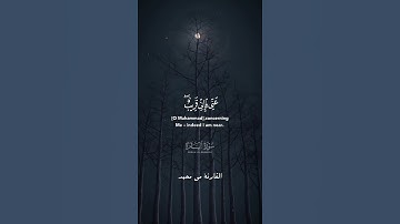ريح قلبك بآيات من القرآن الكريم/واذا سألك عبادى عنى فإنى قريب أجيب دعوة الداعِ #quran #قرآن #مي_محمد