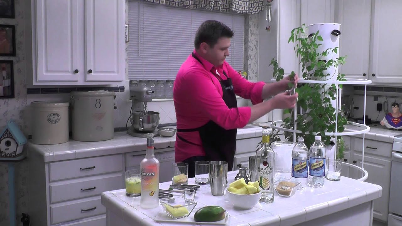 In the Kitchen with David EPISODE FOUR Mango and Pineapple Mojitos