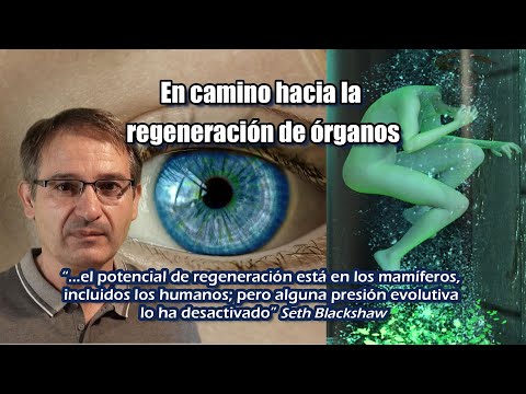 Vídeo: En El Cuerpo Humano, Se Han Encontrado Genes Que Son Responsables De La Regeneración De Las Extremidades - Vista Alternativa