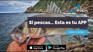 WeFish - Diario de Pesca, Pronósticos y Marketplace screenshot 1