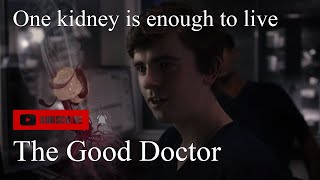 The Good Doctor - Both kidneys are healthy, Jared. She only needs one.