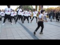 Gangnam style ft little psy  french kpop fans in seoul