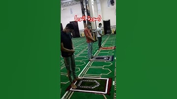{سورة النور}  #trending #اكسبلور #اللهم_صل_وسلم_على_نبينا_محمد #لايك #المصحف #تيك_توك #خيل #ترند