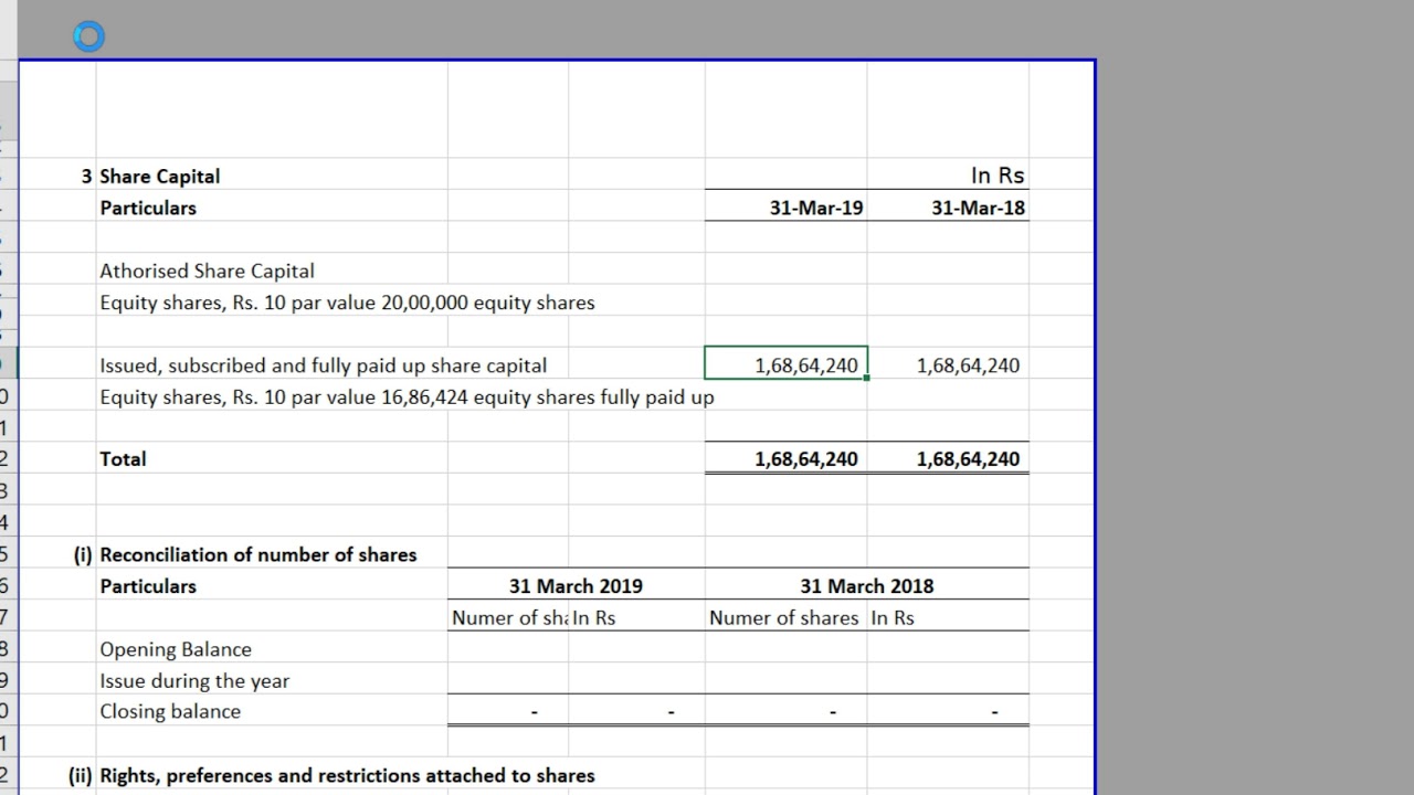 Company Balance Sheet Automation Tool Demo on Notes/Schedule