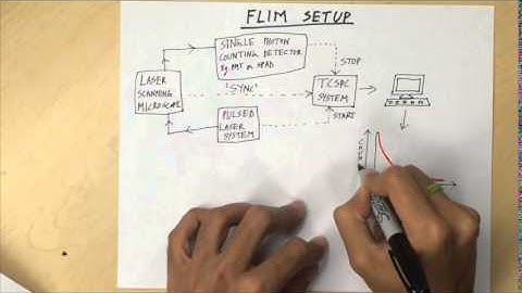Fluorescence Lifetime Imaging Microscopy [FLIM] - Overview
