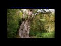 Yakusimalonghi Wmv Yakusimalonghi Wmv
