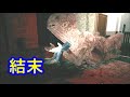 【バイオ8】赤ちゃんの時を止めたらどうなる!?