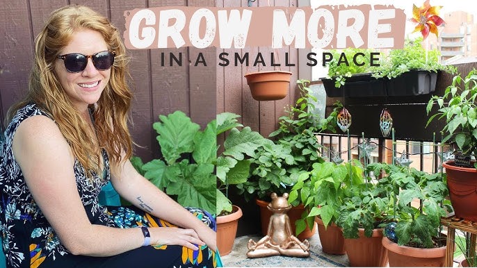 Balcony Gardening Vegetables: Thrive in Small Spaces!