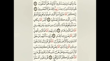 سورة الزمر | قراءة من المصحف الشريف - الجزء 24 (من الآية 32 إلى 75)