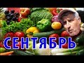 Огород в сентябре. Сбор урожая. Урожай в Сибири. Что выросло.