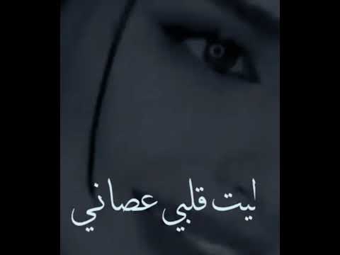 ليت قلبي قد عصاني بصوت بنت غريب إلا مخلص 