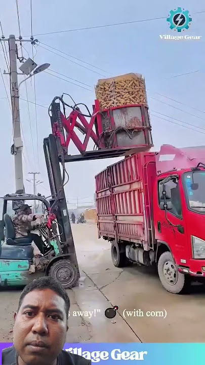 The crow lifts the dry twigs.