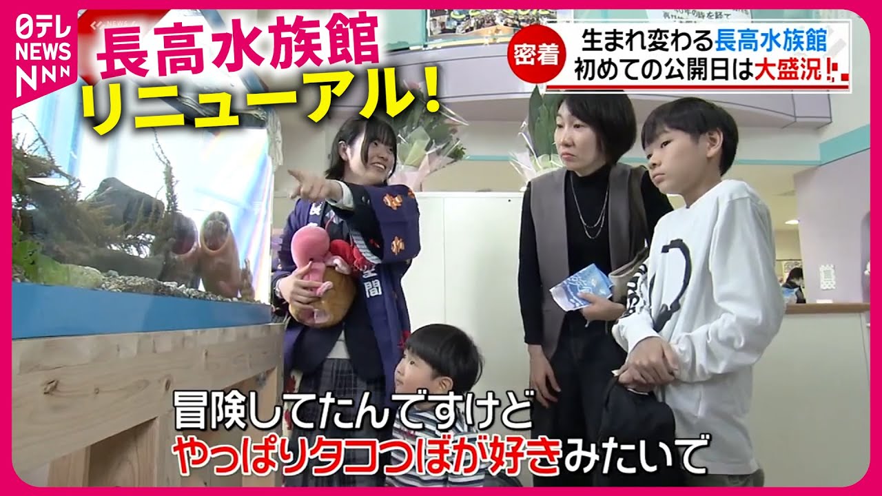 【密着】水族館の大移転！長浜高校水族館部 過去最多の部員で挑んだリニューアルオープン　愛媛　NNNセレクション