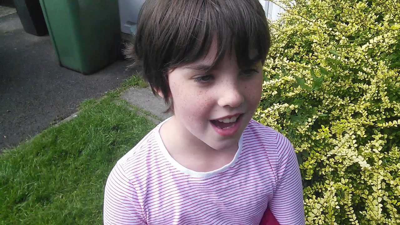 Sophie's sunflower finally opens! 🌻