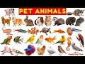 Top 35 Pet Animals for Kids 🐾 | Fun Learning Video for Toddlers & Preschoolers