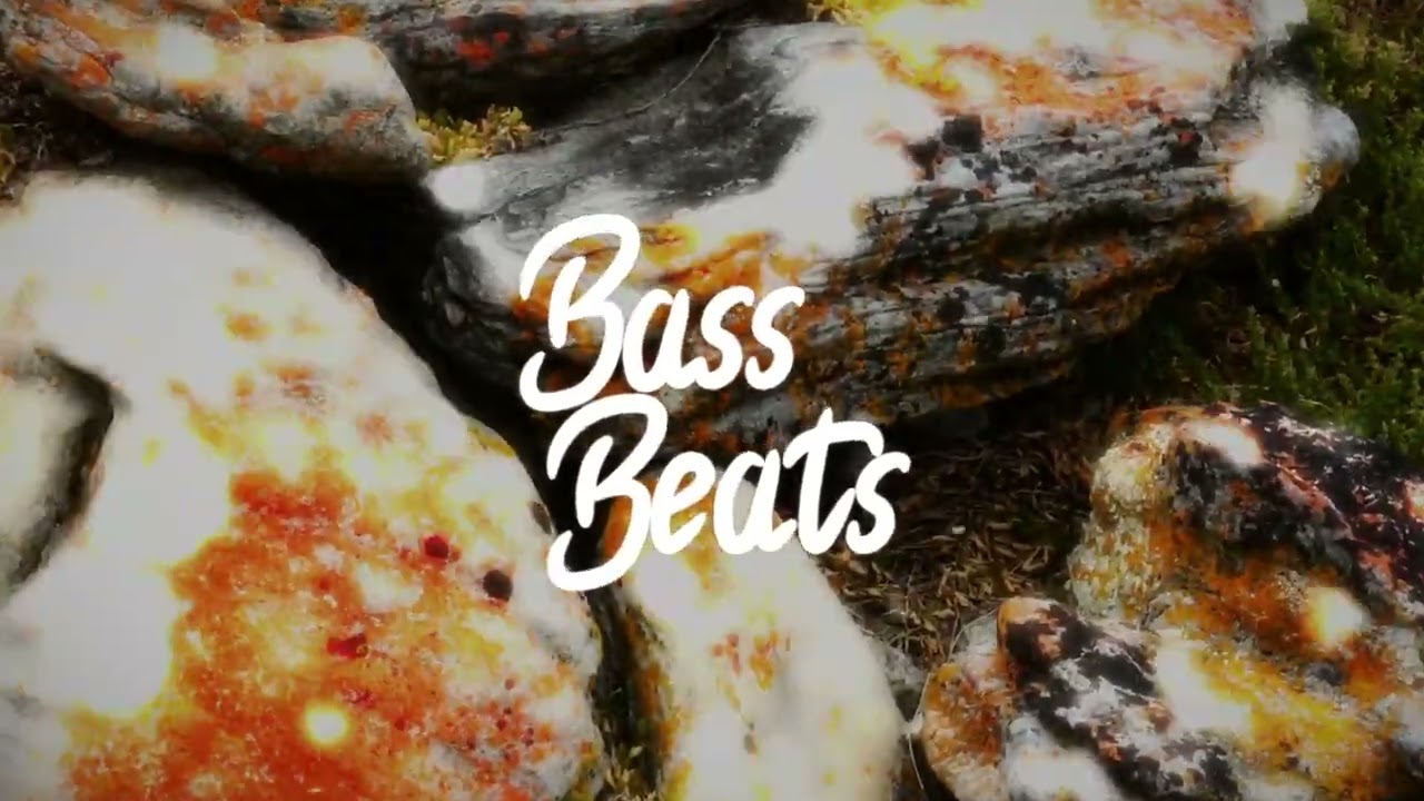 Maximilian Schmidt - Don‘t Let Me Go [Bass Boosted]