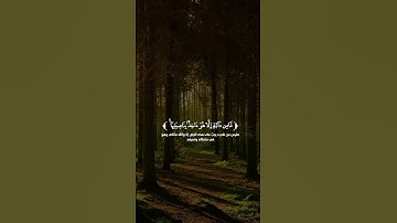 ارح سمعك - القارئ مشاري فالح 🤍