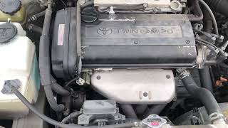 IMG 7245