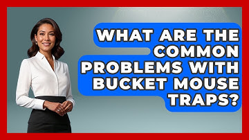 What Are The Common Problems With Bucket Mouse Traps? - Insects and Invaders